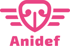 Anidef