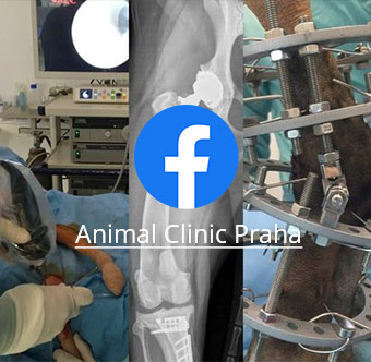 Animal Clinic facebook